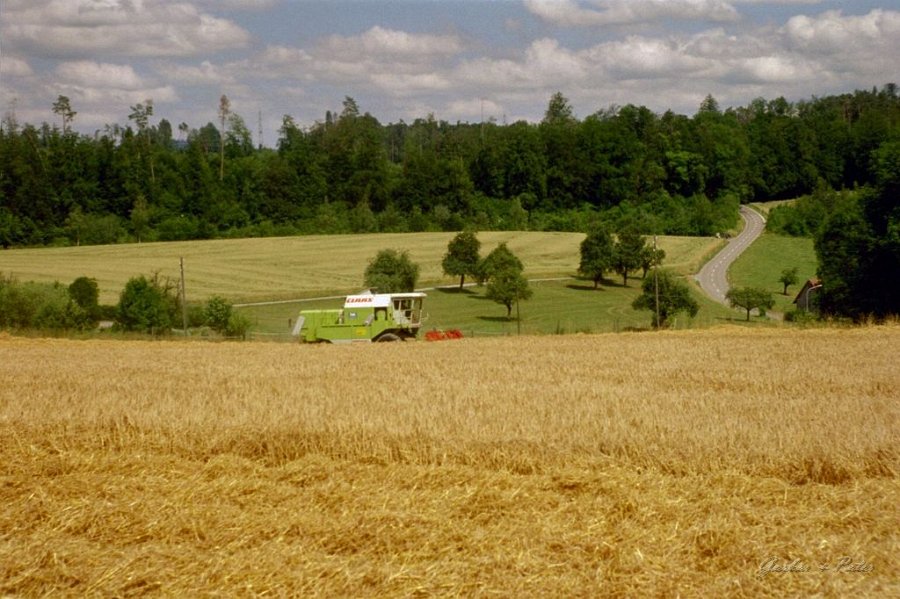 Claas Drescher 11